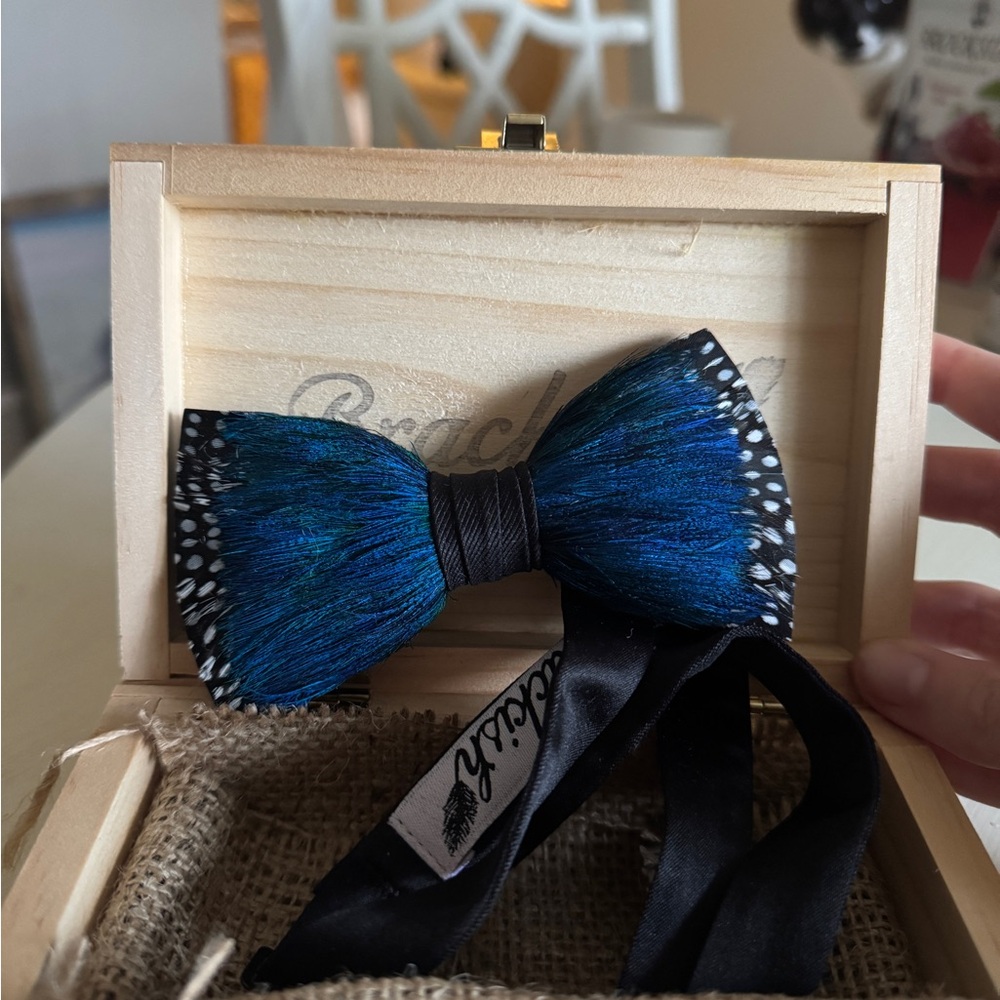 Brackish Flintlock peacock feather bow tie